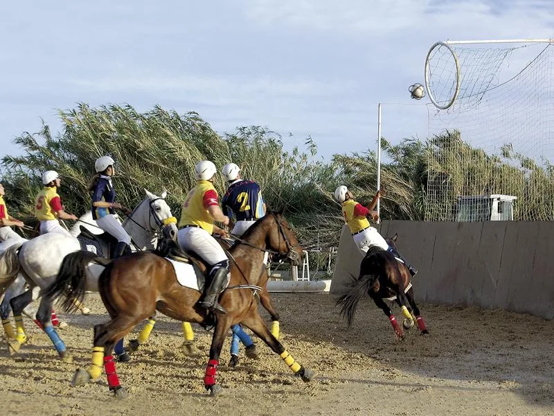 Horseball