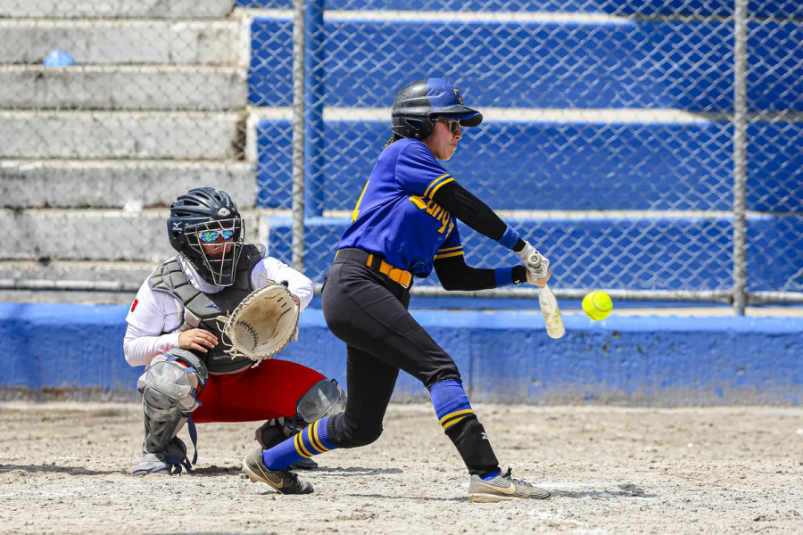 Softbol