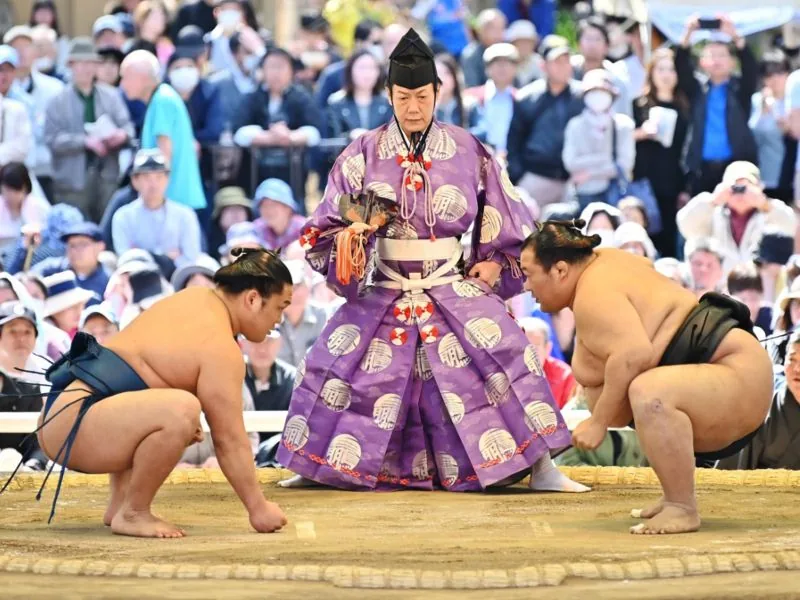 Sumo